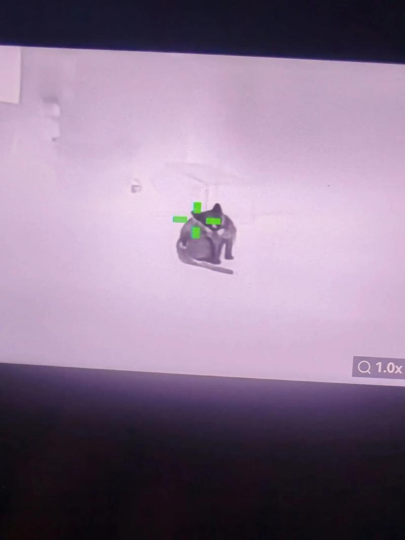 和平精英辅助透视自瞄网站